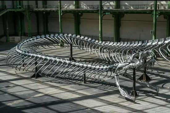 贯穿于整个作品的蛇骨,图片来源:ADAGP, Paris
