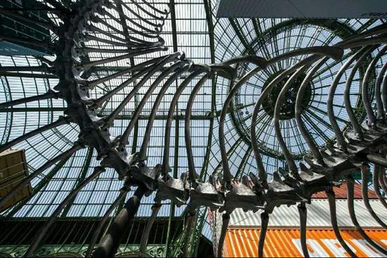 展览现场,图片来源:ADAGP, Paris