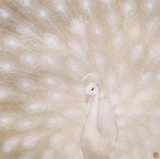 白孔雀 蒋采萍