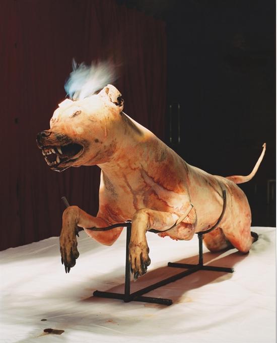 2000年2月17日,在“艺术大餐”展上孙原、彭禹的装置作品《追杀灵魂》。这件装置用聚光灯透过一大块放大镜照射到一条冰冻的猎犬身上。