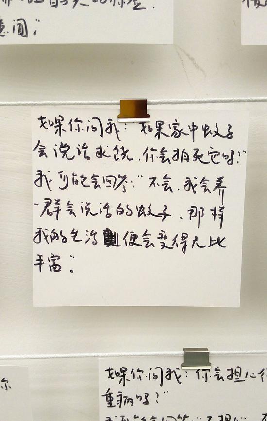 自问自答游戏 局部