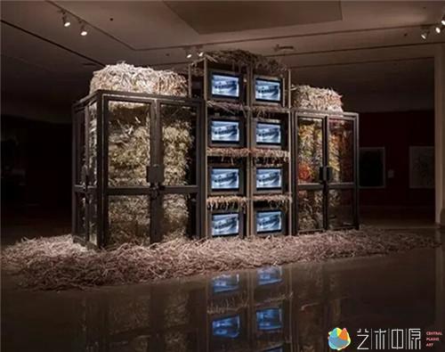魏光庆 《真相》(2011)