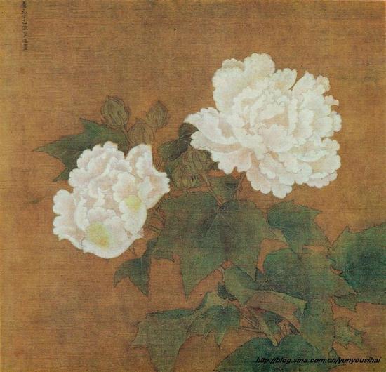 李迪《红白芙蓉图》之白芙蓉