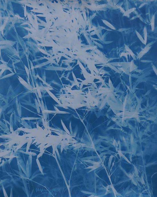 张大力 竹子_Bamboo(10).亚麻布蓝晒Cyanotype on canvas (100X80cm)2016.8.29