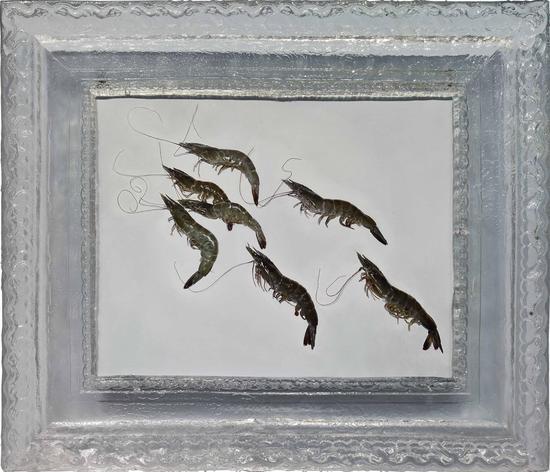卢征远_群虾_No.2_手工水晶画框,布面油画_40×50cm_2013