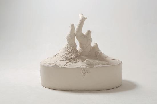 许静宇《盆景》织物和木材,137×130×78cm ,2012年