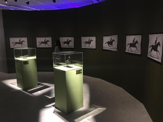 《印象派大师德加中国首展—舞动的艺术》展览现场