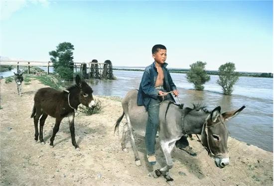 1982年,甘肃。甘肃兰州附近黄河边的一位骑驴少年。背景是从黄河汲取水的灌溉水车。