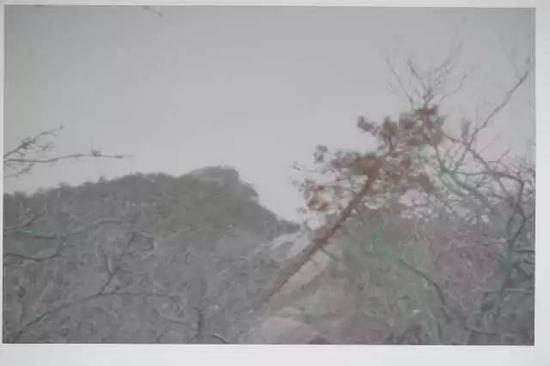 参展作品:《材与非材》;作品类型:黑白照片 手工着色;作品尺寸:70X110cm;创作年代:2016年