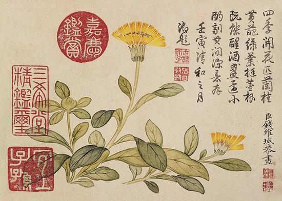 钱维城(1720-1772) 花卉图(局部)