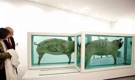 《这只小猪赶集去,这只小猪留在家》一只被泡在福尔马林里一剖为二的小猪