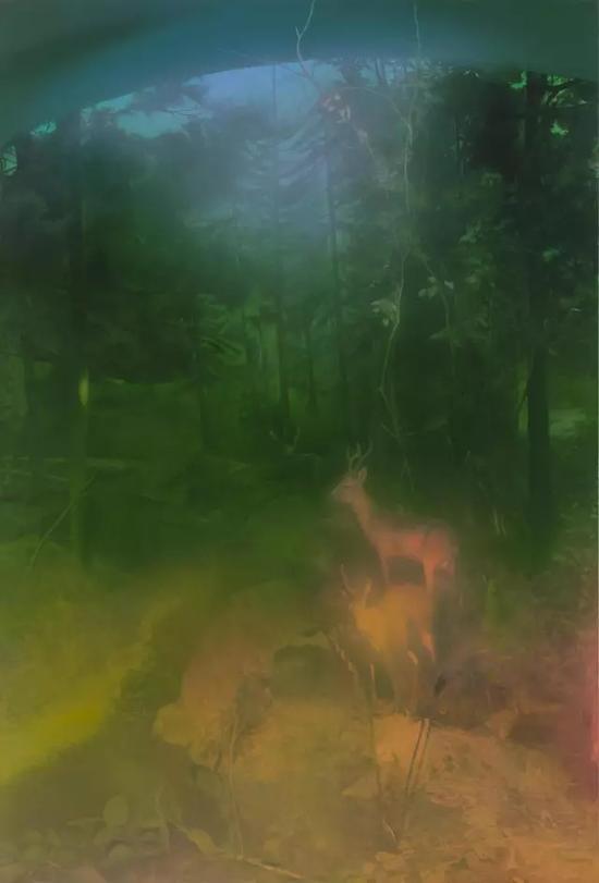Deer in the forest,300×200cm,2016