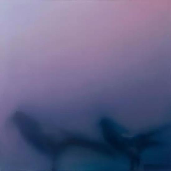 Companion,50×50cm,2016
