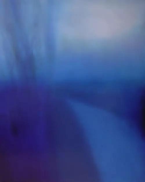 Path,100x80cm,2007
