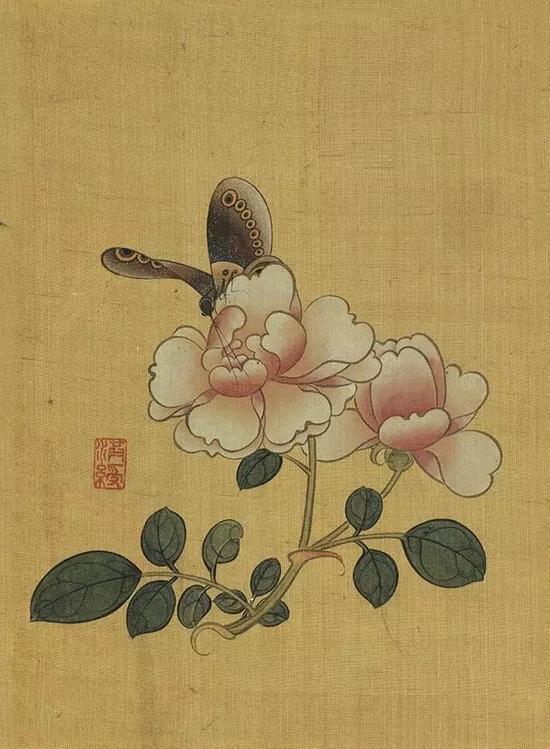 《蔷薇蝴蝶》