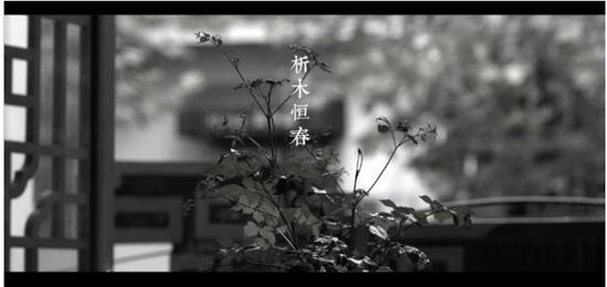 业内首部析木玉文化推广短片《析木恒春》