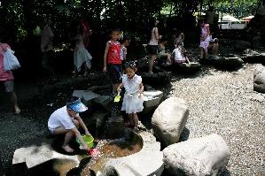 民众参与