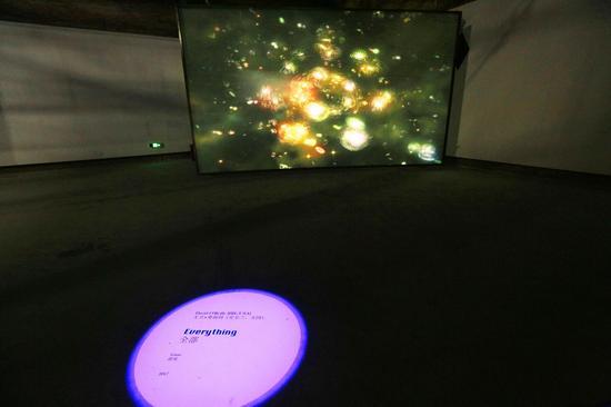 David O‘Reilly大卫•奥锐利(爱尔兰、美国)作品名:Everything全部