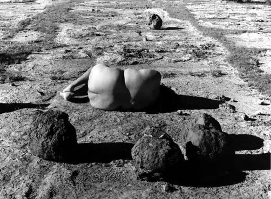 《自然的自画像#12(Nature Self Portraits #12)》,劳拉·阿基拉,喷墨打印,1992年。