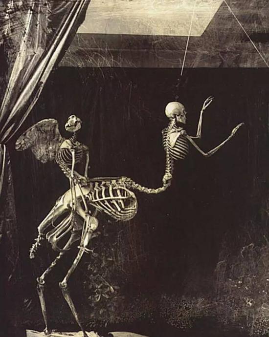 Cupid and Centaur in a Museum of Love, Marseille