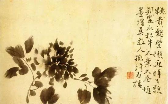 徐渭 《牡丹图》