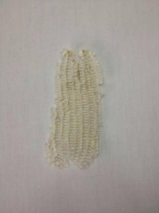 司建伟《我不想过早的死去》