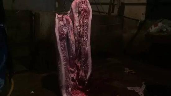 程三娃《砧板清供》视频截图