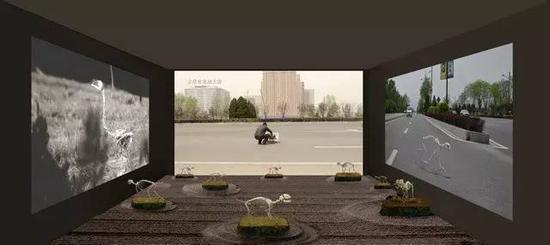 黄起才《漫步》展厅效果