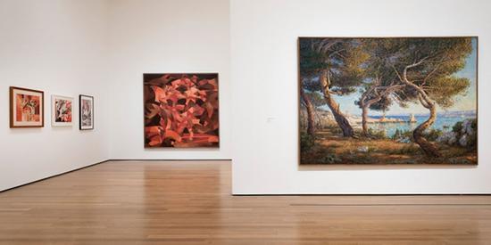 “弗朗西斯·毕卡比亚:我们的头是圆的,所以我们的思想可以转向”展厅内