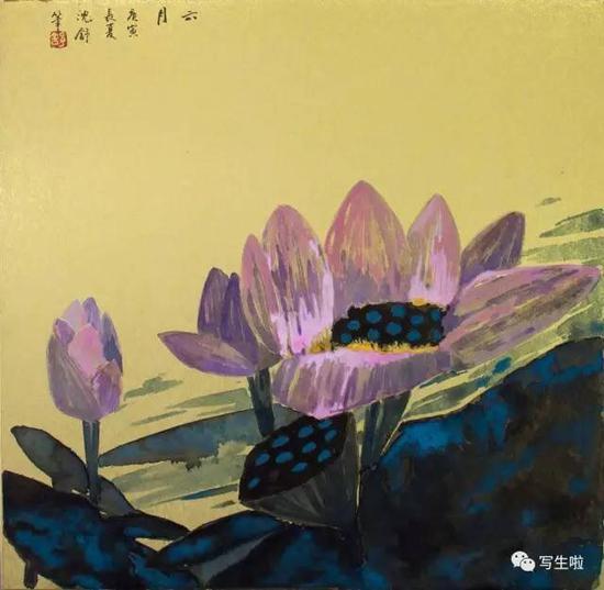 沈舒作品