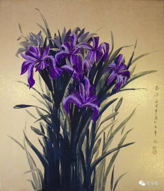 沈舒作品