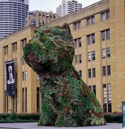 杰夫·昆斯(Jeff Koons),小狗(Puppy),1995年。摄影:布伦丹·里德(Brendan Read)。由悉尼当代艺术博物馆提供