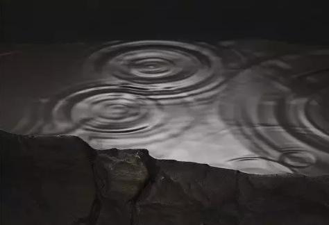 沈烈毅《雨》