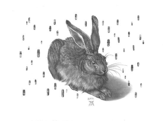 仇贝,丢勒兔的成长“报告”·,石版,66*50cm, 2017年