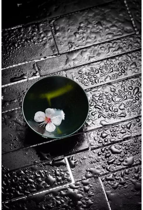 透光美美哒