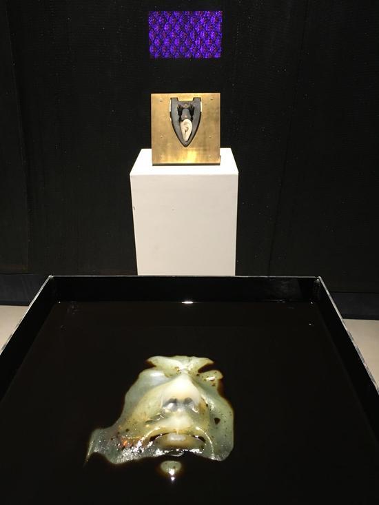 段官来,《众生相-浮生》《All Sentient Beings-Floating dream》,2017
