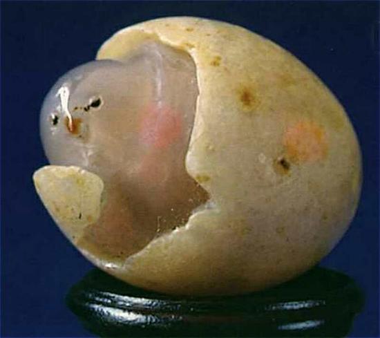 《小鸡出壳》