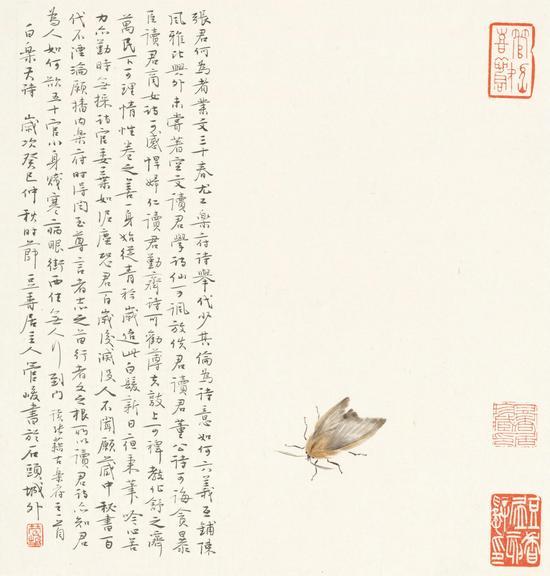 《白居易诗》40cm x 37cm 2013年