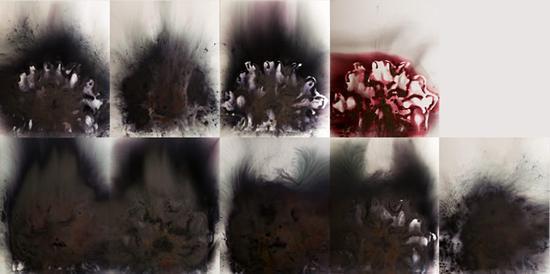 《黑色罂粟花》,2016年。 火药、帆布,每屏152.5x109.8cm赵小意摄,蔡工作室提供