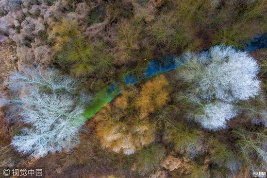 植物和真菌组亚军:冬季沼泽(Winter swamp)摄影师:Csaba Daroczi (匈牙利)