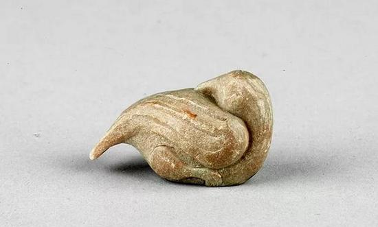 滑石鸟