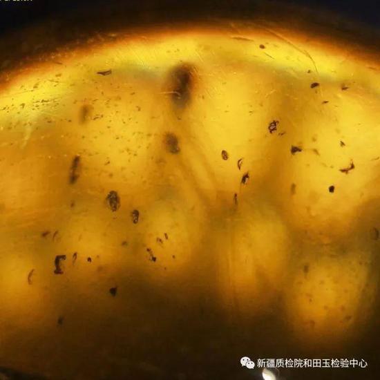 (上图)气泡、黑色固态内含物