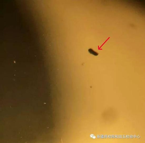 (上图)黑色片状物