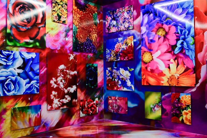 蜷川实花展现场