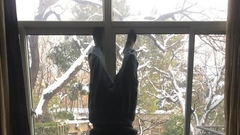 黄药：以介入赢得艺术回归