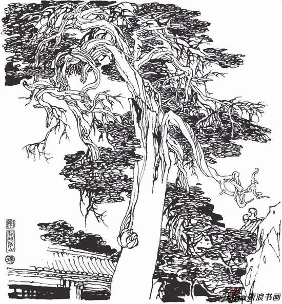 孔府开门见山殿前古柏