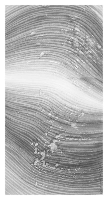 春潭醉无边 127x65cm 2011