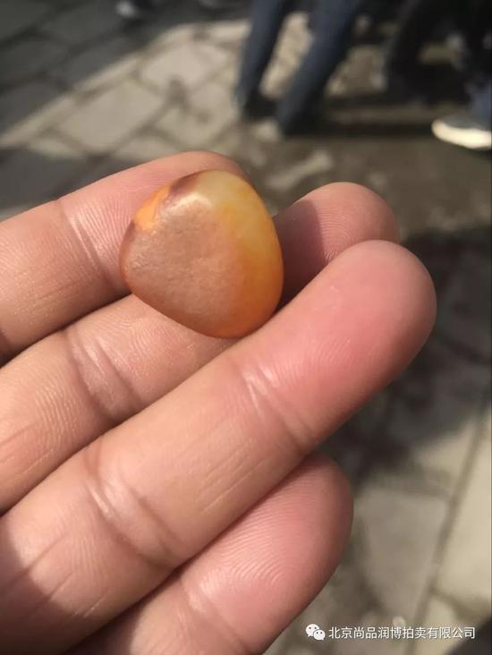 进口假皮