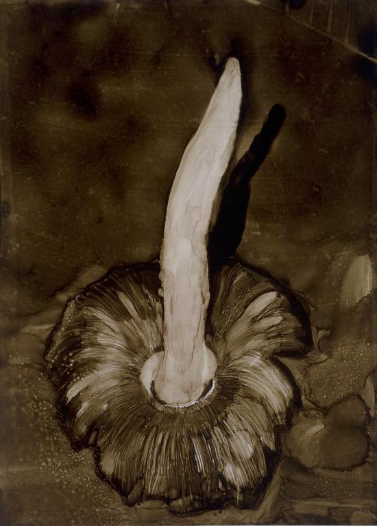 傅饶,Rao Fu, 无题, O.T., 沥青纸本, bitumen on paper, 99.5x65cm, 2009