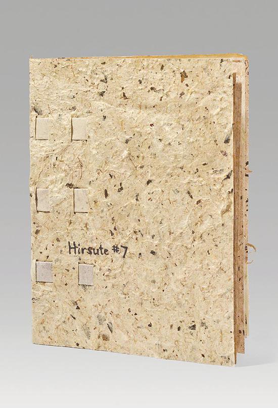 艾米·利 Aimee Lee美国 Hirat#7 6.75x5.2x0.5cm综合材料 2016